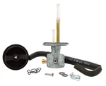 Fuel Star FS101-0051 Valve Kit. Fixed Price $64.95.