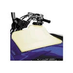 Clarke Gas Tank Clear, 3.9 Gallon 11409-01. Fixed Price $240.00.
